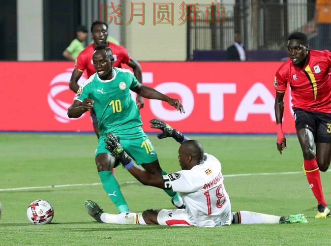 世界杯投注app进攻型球队真的更稳吗 完整指南来了